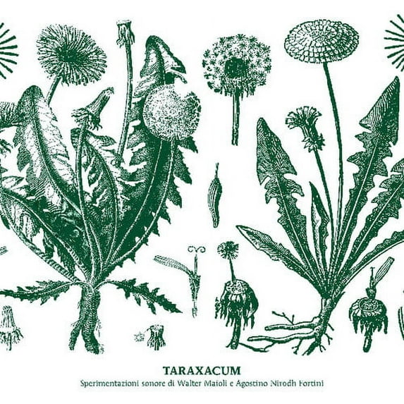 Maioli,Walter & Nirodh Fortini - Taraxacum - Music & Performance - CD