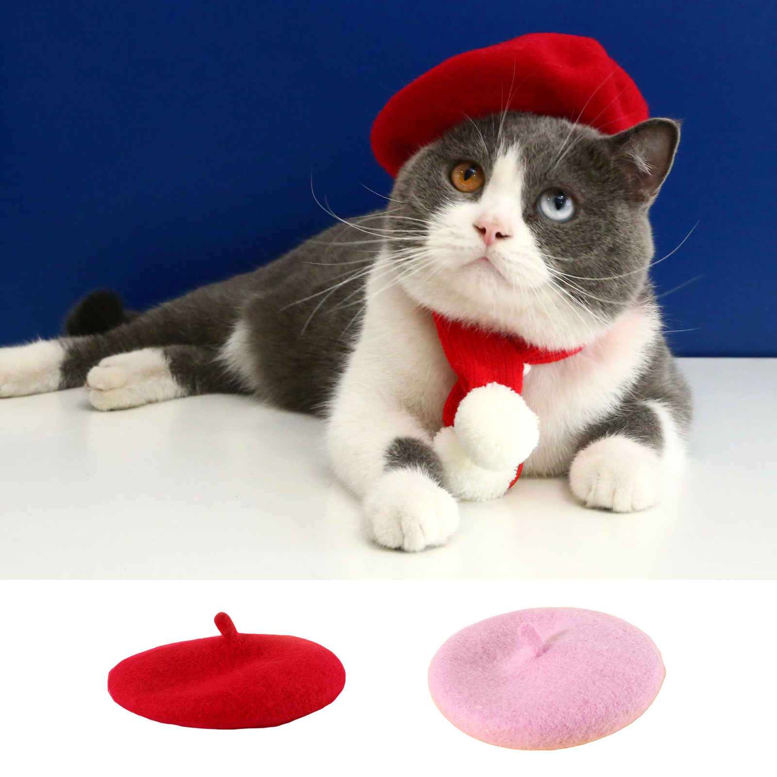 Cute cat supplies hotsell