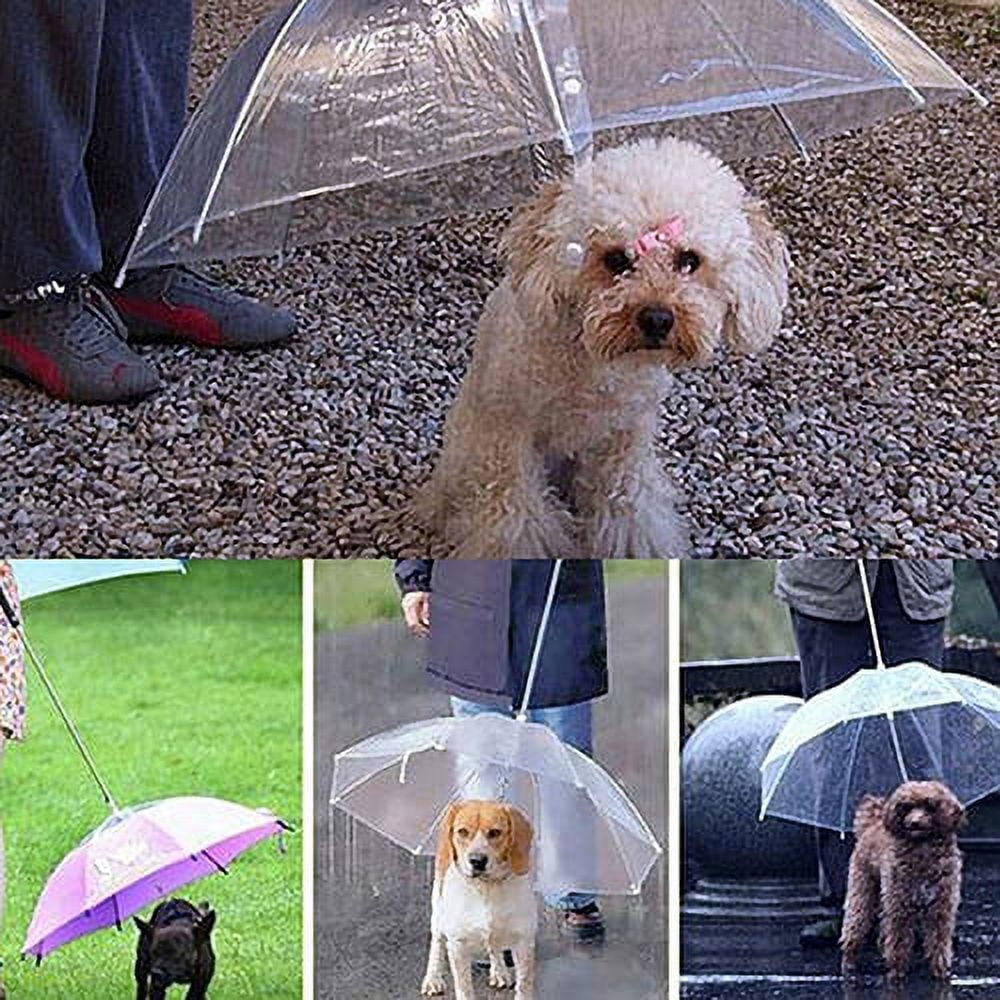 Mairbeon Dog Walking Waterproof Clear Cover Builtin Leash Rain Sleet