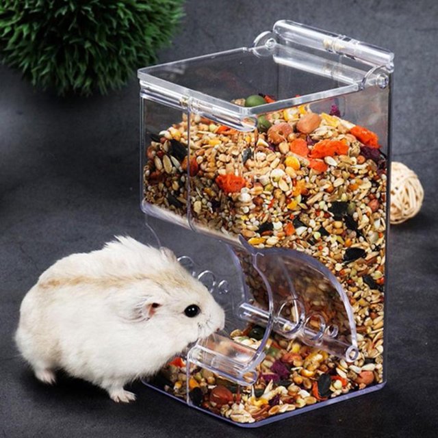 Mairbeon Hamster Rabbit Hedgehog Food Dispenser Acrylic Clear Automatic