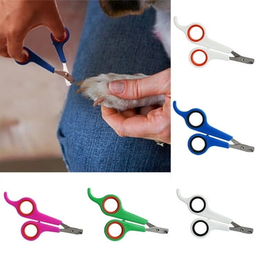 Pet Nail Clippers for Small Animals - Best Cat Nail Clippers & Claw