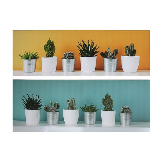 Maison Concepts Canvas Wall Art (Succulents) (Asstd) - Set of 2 (35.45L X 1W X 11.8H)