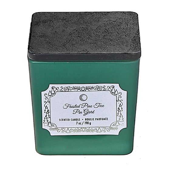 Maison Concepts Christmas 7Oz Square Candle Frosted Pine Tree