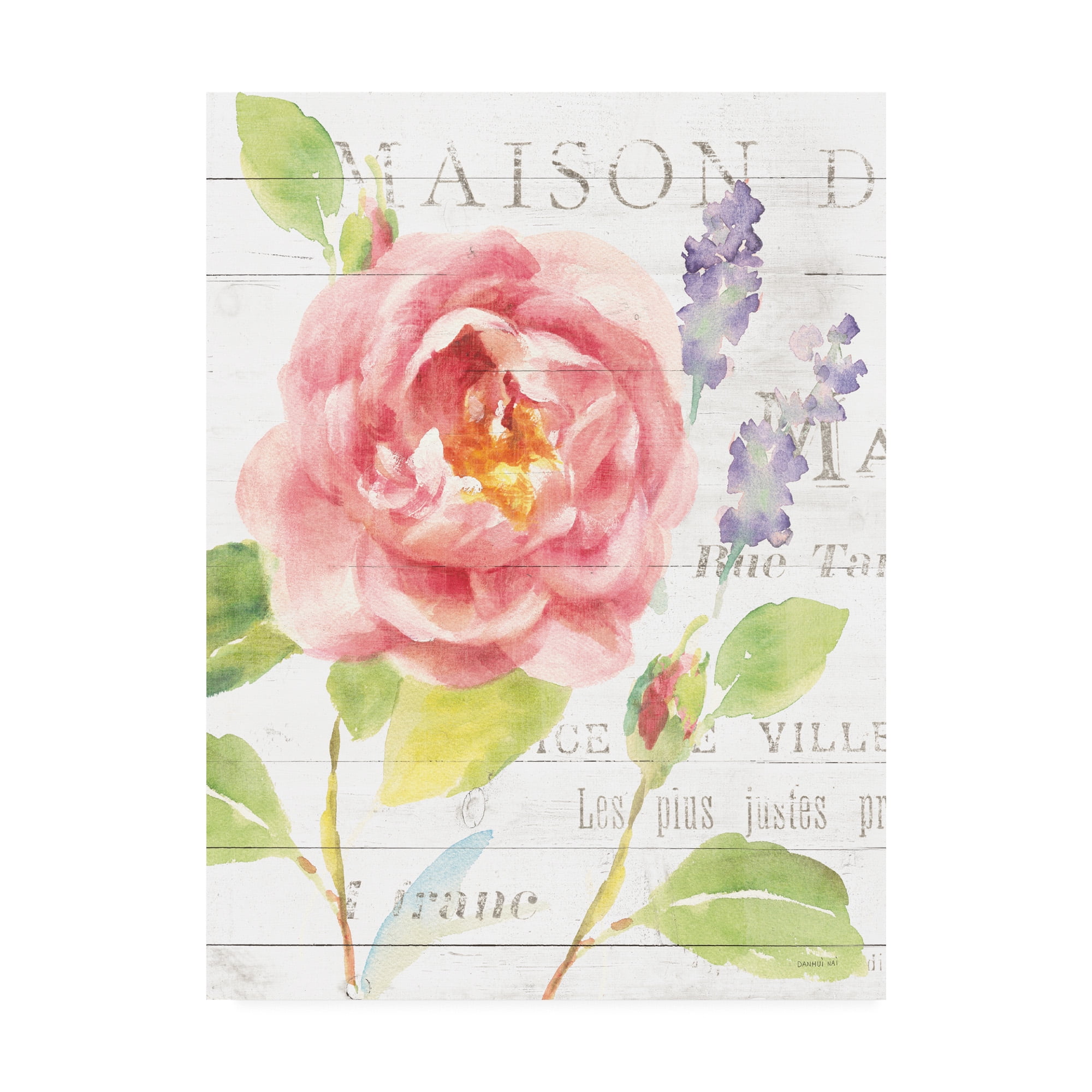 Maison Des Fleurs III' Canvas Art by Danhui Nai