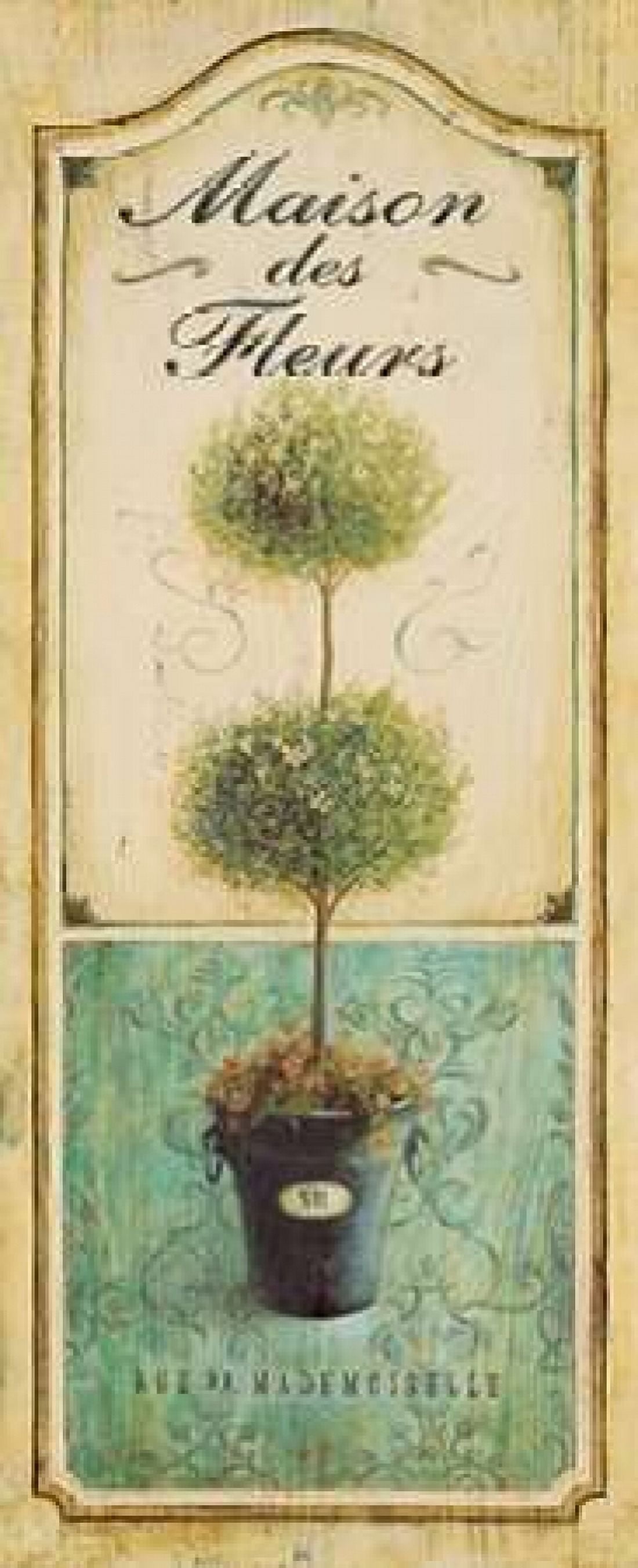 Maison Topiary Canvas Art - Angela Staehling (10 x 20)