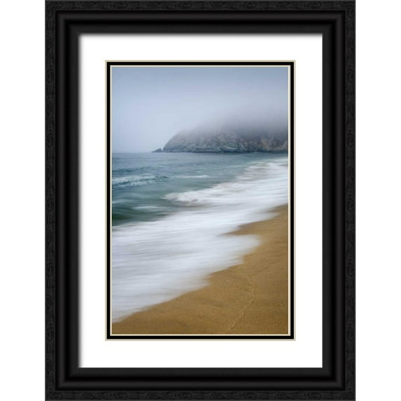 Majchrowicz, Alan 13x18 Black Ornate Wood Framed with Double Matting Museum Art Print Titled - Gray Whale Cove