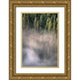 thumbnail image 1 of Majchrowicz, Alan 13x18 Gold Ornate Wood Framed with Double Matting Museum Art Print Titled - Fog and Forest II, 1 of 4