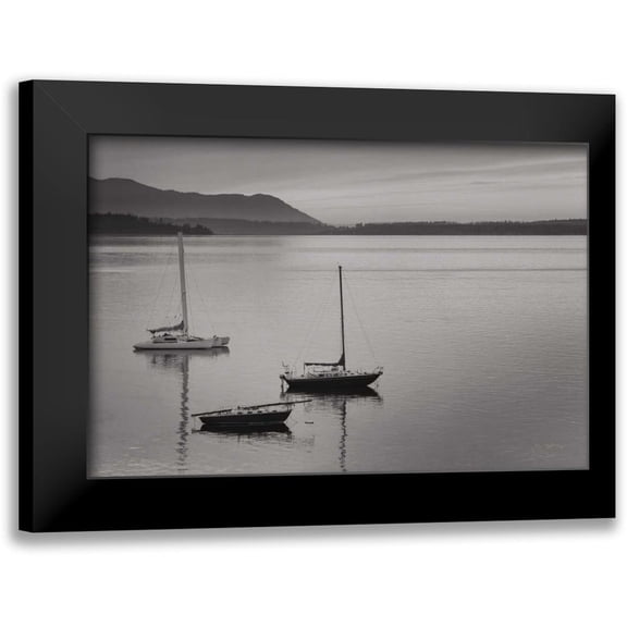 Majchrowicz, Alan 14x11 Black Modern Framed Museum Art Print Titled - Bellingham Bay BW