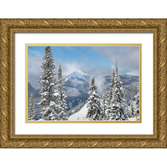 Majchrowicz, Alan 14x11 Gold Ornate Wood Framed with Double Matting Museum Art Print Titled - North Cascades in fresh winter snow Manning Provincial Park-British Columbia