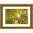 thumbnail image 1 of Majchrowicz, Alan 14x11 Gold Ornate Wood Framed with Double Matting Museum Art Print Titled - Autumn Foliage Sunburst V, 1 of 4
