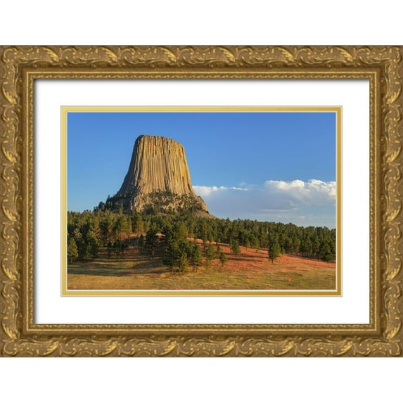 Majchrowicz, Alan 14x11 Gold Ornate Wood Framed with Double Matting Museum Art Print Titled - Devils Tower National Monument-Wyoming