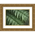 thumbnail image 1 of Majchrowicz, Alan 14x11 Gold Ornate Wood Framed with Double Matting Museum Art Print Titled - Lady Ferns III Color, 1 of 4