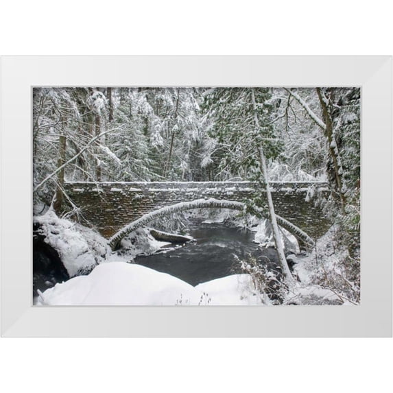 Majchrowicz, Alan 14x11 White Modern Wood Framed Museum Art Print Titled - Whatcom Creek Bridge