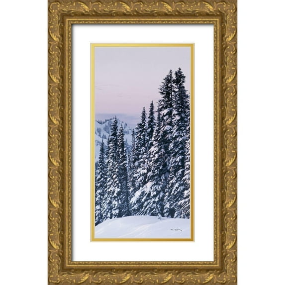 Majchrowicz, Alan 14x24 Gold Ornate Wood Framed with Double Matting Museum Art Print Titled - Tatoosh Range Panel III