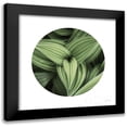 thumbnail image 1 of Majchrowicz, Alan 15x15 Black Modern Framed Museum Art Print Titled - Corn Lily Circle II, 1 of 5