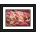 thumbnail image 1 of Majchrowicz, Alan 18x13 Black Ornate Wood Framed with Double Matting Museum Art Print Titled - Foxtail Barley II, 1 of 4