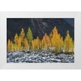 thumbnail image 1 of Majchrowicz, Alan 18x13 White Modern Wood Framed Museum Art Print Titled - Alpine Larches North Cascades, 1 of 4