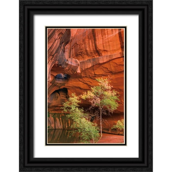 Majchrowicz, Alan 23x32 Black Ornate Wood Framed with Double Matting Museum Art Print Titled - Neon Canyon III