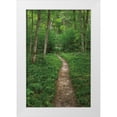 thumbnail image 1 of Majchrowicz, Alan 23x32 White Modern Wood Framed Museum Art Print Titled - North Country Trail, 1 of 4