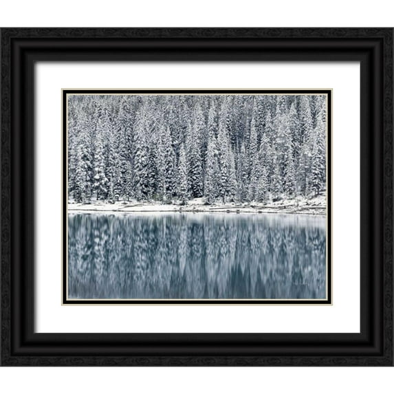Majchrowicz, Alan 24x20 Black Ornate Wood Framed with Double Matting Museum Art Print Titled - Winter Reflections
