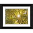 thumbnail image 1 of Majchrowicz, Alan 32x23 Black Ornate Wood Framed with Double Matting Museum Art Print Titled - Autumn Foliage Sunburst V, 1 of 4