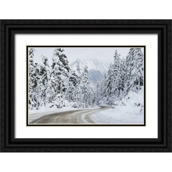 Majchrowicz, Alan 32x23 Black Ornate Wood Framed with Double Matting Museum Art Print Titled - Mount Baker Highway I