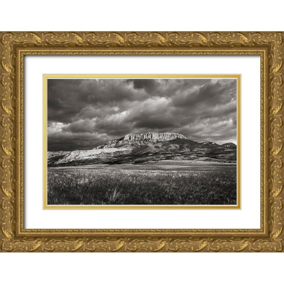 Majchrowicz, Alan 32x23 Gold Ornate Wood Framed with Double Matting Museum Art Print Titled - Castle Reef Mountain