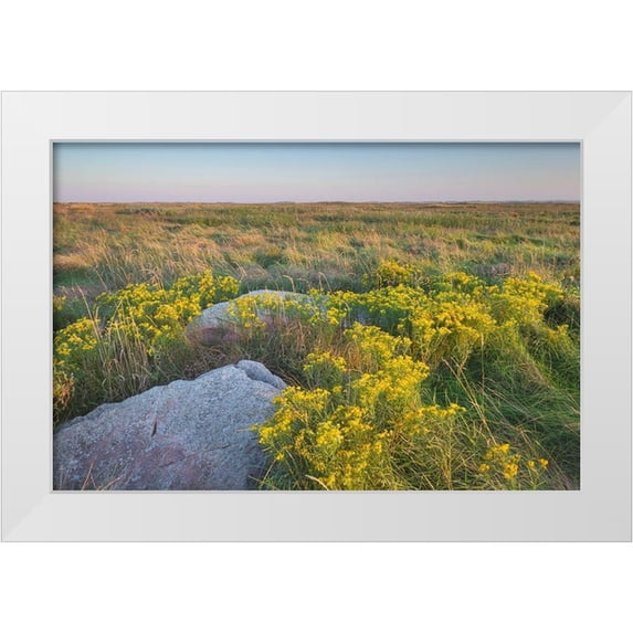 Majchrowicz, Alan 32x23 White Modern Wood Framed Museum Art Print Titled - Touch the Sky Prairie southwest-Minnesota