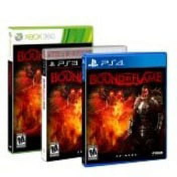 Majesco Bound by Flame, No