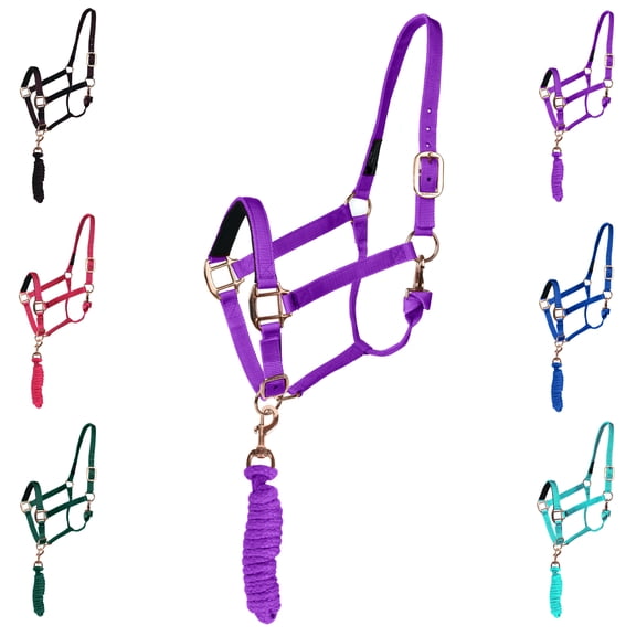 Majestic Ally Halter with Matching Lead Rope for Horses–Adjustable Chin and Crown–Rolled Throat Latch with Replaceable Snap–Padded Noseband–Heavy Duty Rose Gold Finish Hardware