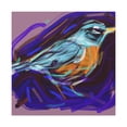 thumbnail image 1 of "Majestic American Robin" - Canvas, 1 of 25