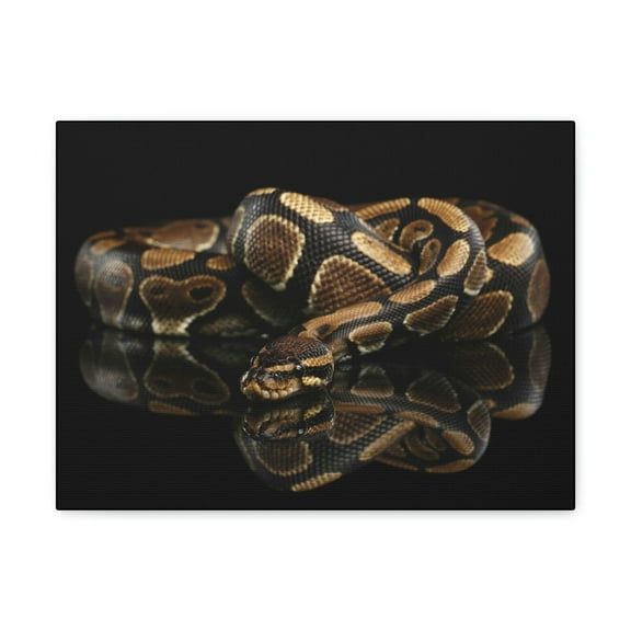 Majestic Anaconda Art Majestic Anaconda Print Animal Wall Art Wildlife Canvas Prints Wall Art Ready to Hang Unframed