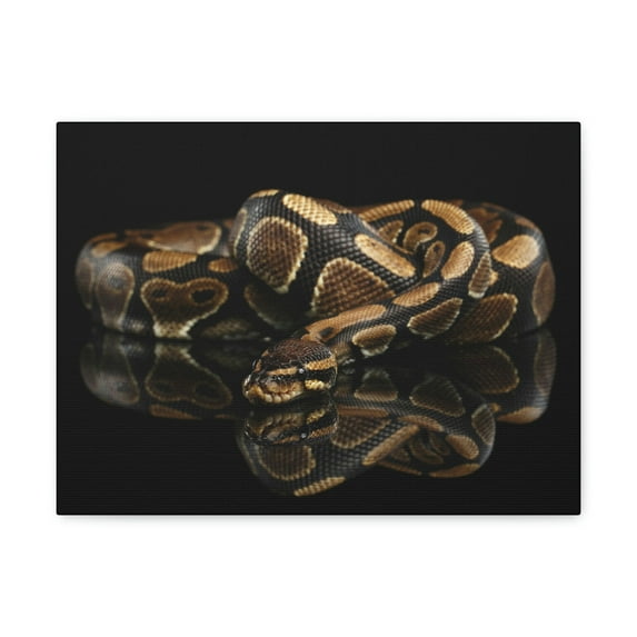 Majestic Anaconda Art Majestic Anaconda Print Animal Wall Art Wildlife Canvas Prints Wall Art Ready to Hang Unframed