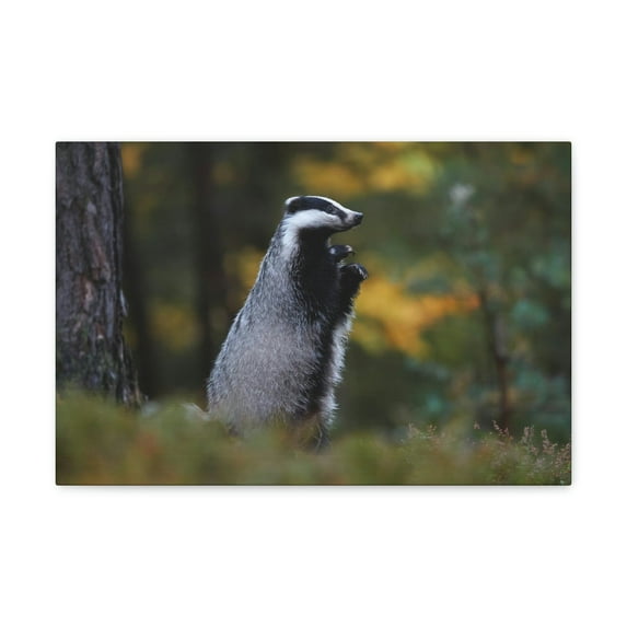 Majestic Badger Art Majestic Badger Print Animal Wall Art Wildlife Canvas Prints Wall Art Ready to Hang Unframed