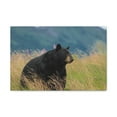 thumbnail image 1 of Majestic Black Bear Art Majestic Black Bear Hound Print Animal Wall Art Wildlife Canvas Prints Wall Art Ready to Hang Unframed, 1 of 18