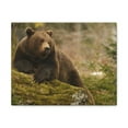 thumbnail image 1 of Majestic Brown Bear Art Majestic Brown Bear Print Animal Wall Art Wildlife Canvas Prints Wall Art Ready to Hang Unframed, 1 of 18