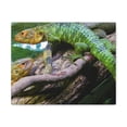 thumbnail image 1 of Majestic Caiman Lizard Art Majestic Caiman Lizard Print Animal Wall Art Wildlife Canvas Prints Wall Art Ready to Hang Unframed, 1 of 18