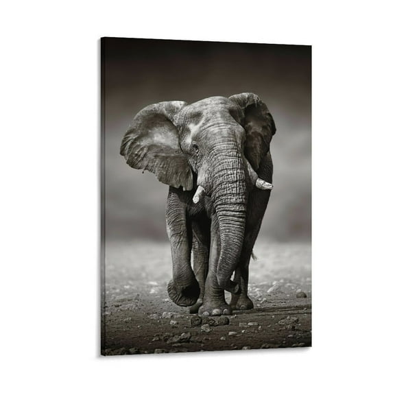 Majestic Elephant Black And White Animal Poster Posters Art Print Wall Photo Paint Poster Hanging Picture Family Bedroom Decor Gift 16x24inch(40x60cm)
