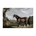 thumbnail image 1 of Stupell Industries Majestic Equine Nature Portrait Canvas Wall Art, design by Corinne Haig, 24 x 36, 1 of 7