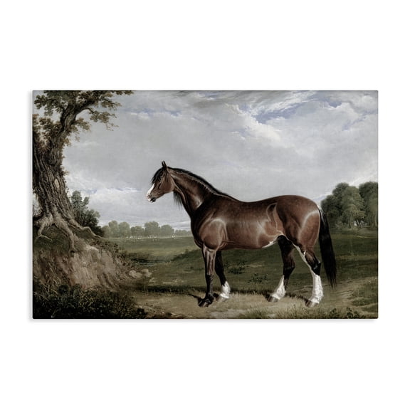 Stupell Industries Majestic Equine Nature Portrait Canvas Wall Art, design by Corinne Haig, 30 x 45