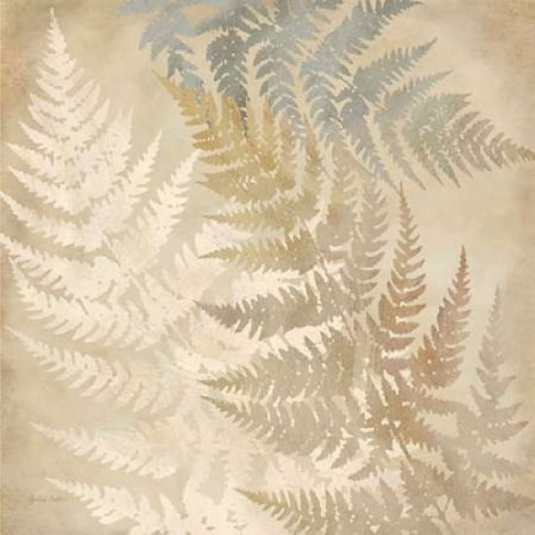 Majestic Ferns II Canvas Art - Cynthia Coulter (24 x 24)
