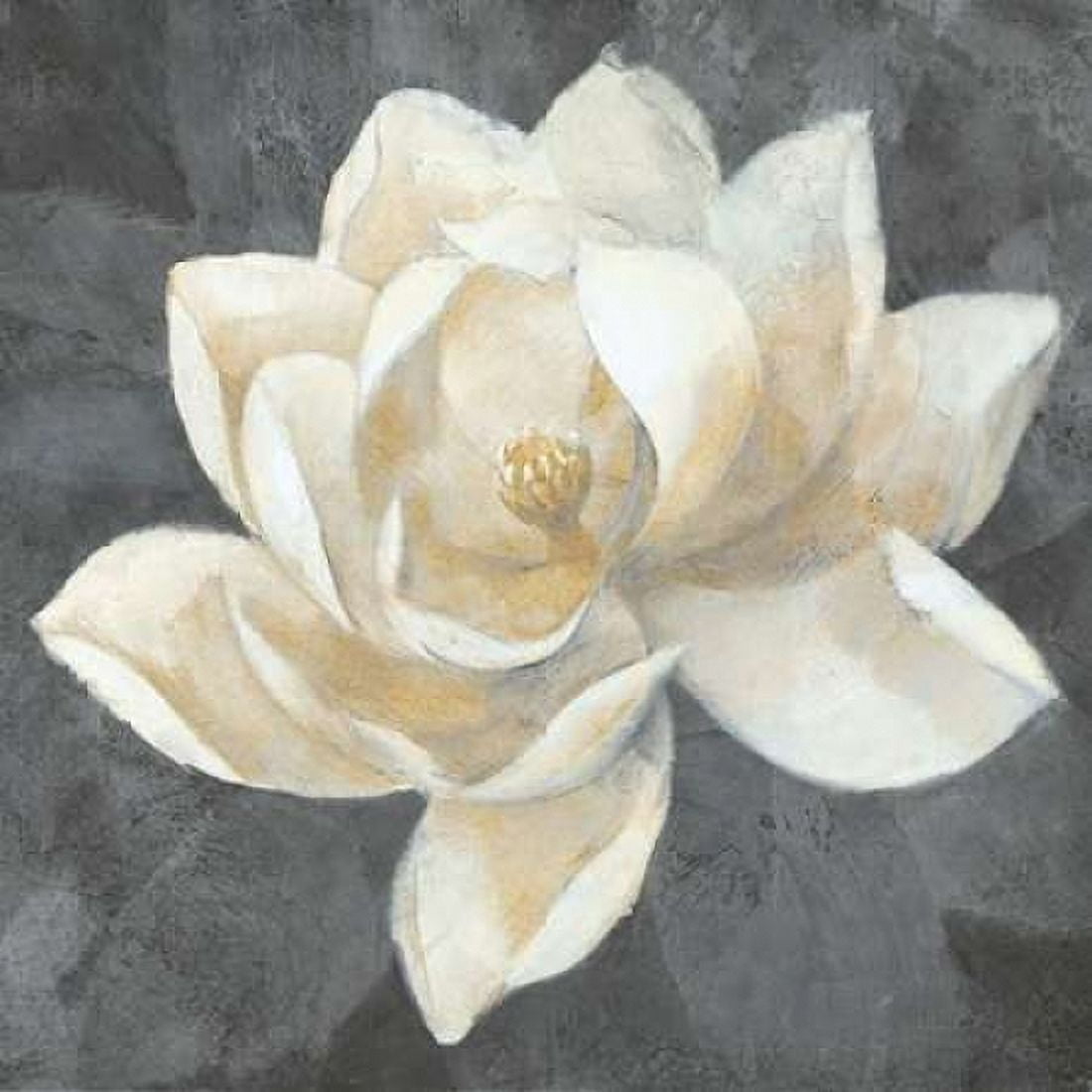 Majestic Magnolia Neutral Sq Canvas Art - Albena Hristova (24 x 24)