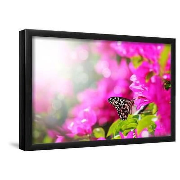Majestic Morning Scene With Butterfly Feeding On Nectar Of A Bouganvillea Flower With Sunrays, Animals Botanical Scenic Framed Art Print Wall Art by smarnad Sold by ArtCom