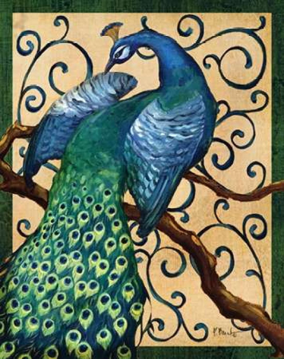 Majestic Peacock II Canvas Art - Paul Brent (24 x 30)