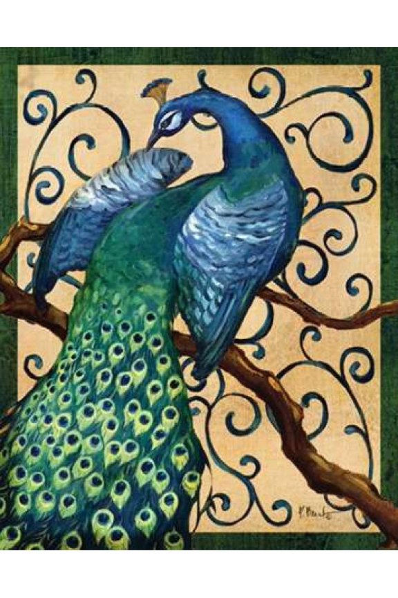 Majestic Peacock II Canvas Art - Paul Brent (24 x 30)