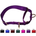 thumbnail image 1 of Majestic Pet 10-.  Martingale Training Collar, 1 of 2