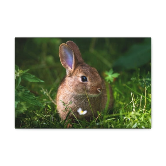 Majestic Rabbit Art Majestic Rabbit Print Animal Wall Art Wildlife Canvas Prints Wall Art Ready to Hang Unframed