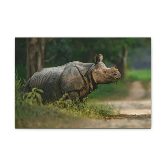 Majestic Rhino Art Majestic Rhino Print Animal Wall Art Wildlife Canvas Prints Wall Art Ready to Hang Unframed