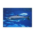 thumbnail image 1 of Majestic Salmon Art Majestic Salmon Print Animal Wall Art Wildlife Canvas Prints Wall Art Ready to Hang Unframed, 1 of 18