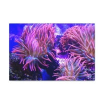 Majestic Sea Anemone Art Majestic Sea Anemone Print Animal Wall Art Wildlife Canvas Prints Wall Art Ready to Hang Unframed